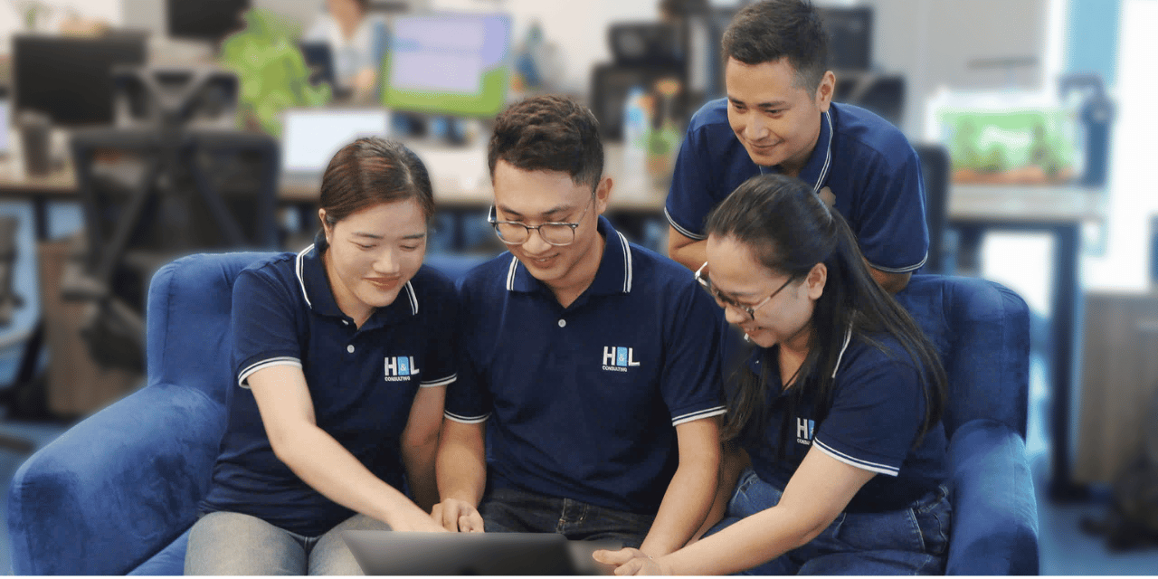 H&L Consulting Team