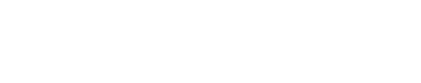 Partner 7